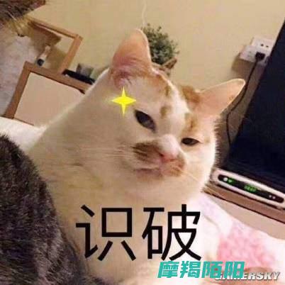 质疑声起二次元游戏是否共享同一策划团队质疑声