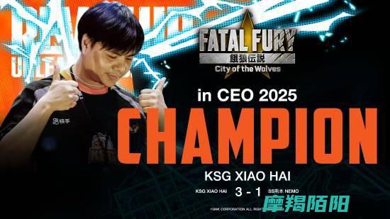 天才少年再创辉煌曾卓君饿狼传说CEO决赛中勇夺